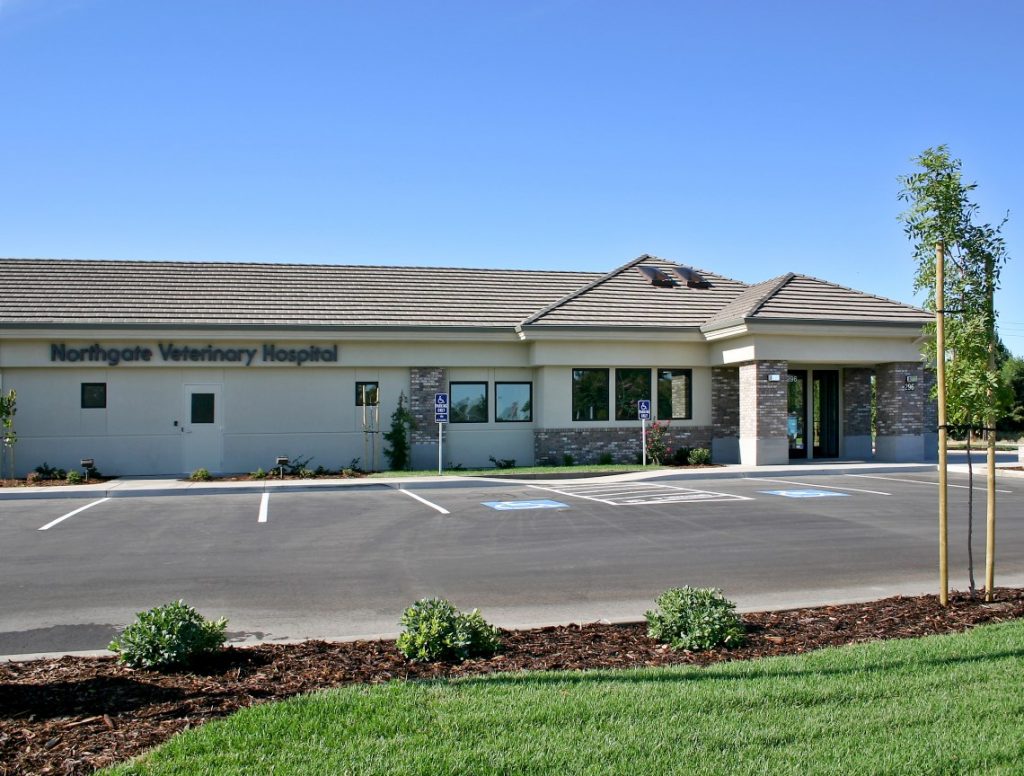 Northgate Veterinary Clinic Huff Construction