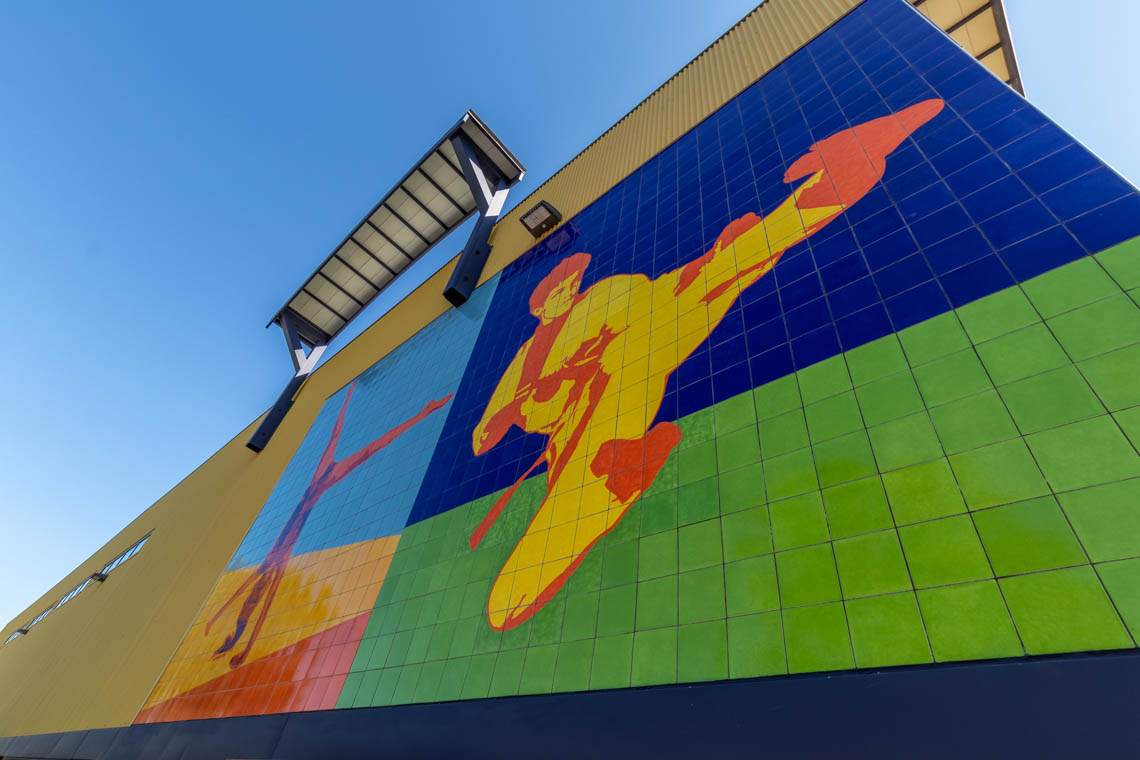 Wide angle photo of a vibrant mosaic tile piece which showcases various sports and mixed martial arts. The artwork is installed on the exterior of Shadelands SportsMall.