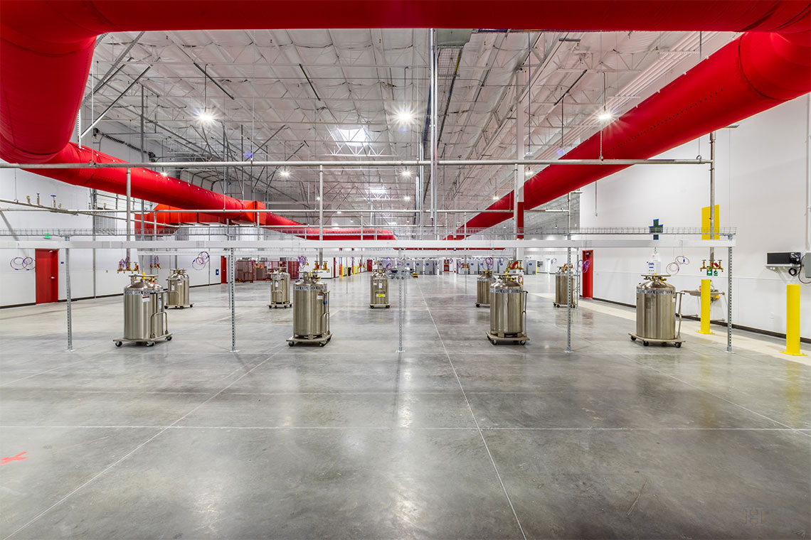 Interior of Pharmaceutical Repository for Thermo Fisher Scientific